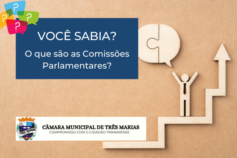 VOCÊ SABIA? O que são as Comissões Parlamentares?