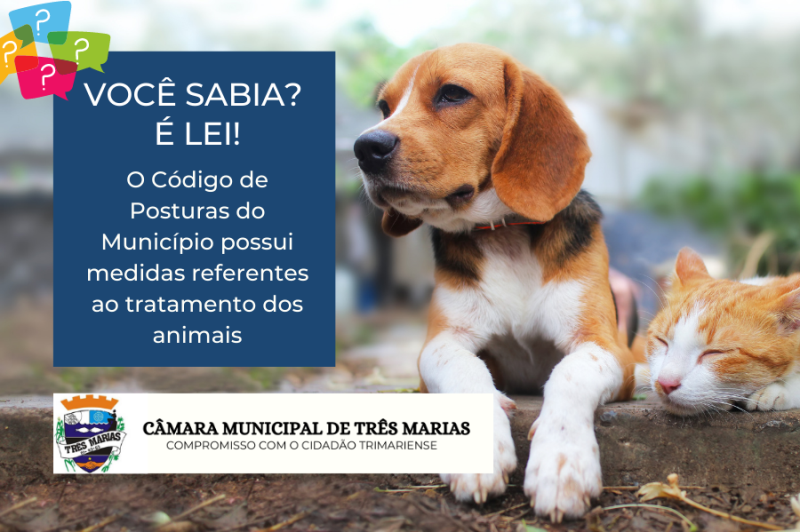 VOCÊ SABIA? O Código de Posturas do Município possui medidas referentes ao tratamento dos animais