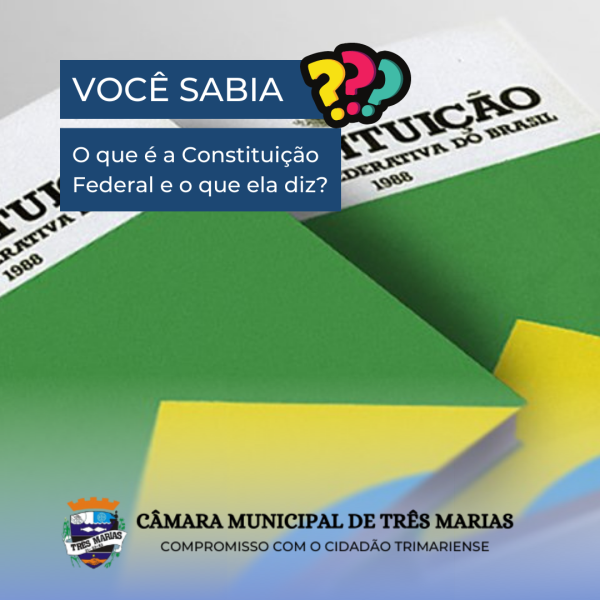VOCÊ SABIA? O que é a Constituição Federal e o que ela diz?