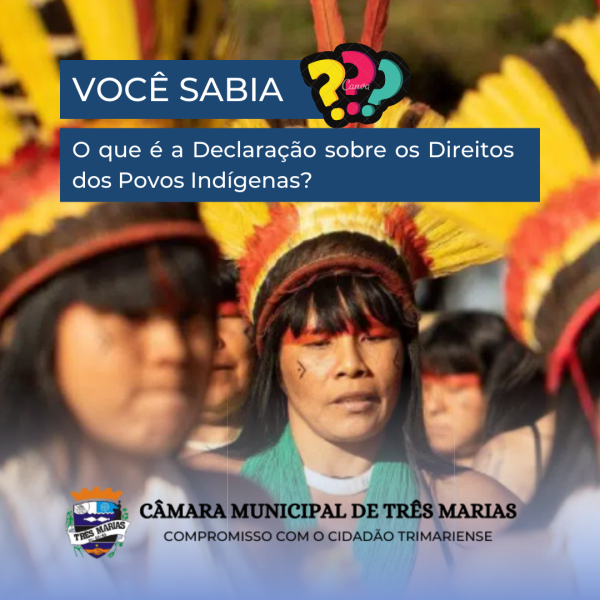 VOCÊ SABIA? O que é a Declaração sobre os Direitos dos Povos Indígenas?