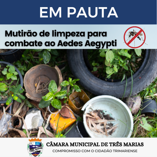 EM PAUTA: Mutirão de limpeza para combate ao Aedes Aegypti