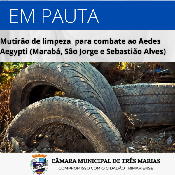 EM PAUTA: Mutirão de limpeza para combate ao Aedes Aegypti