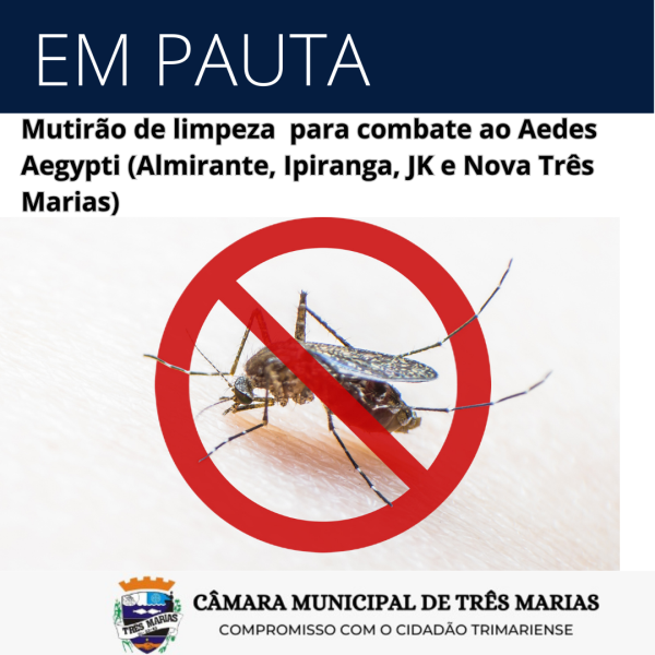 EM PAUTA: Mutirão de limpeza para combate ao Aedes Aegypti