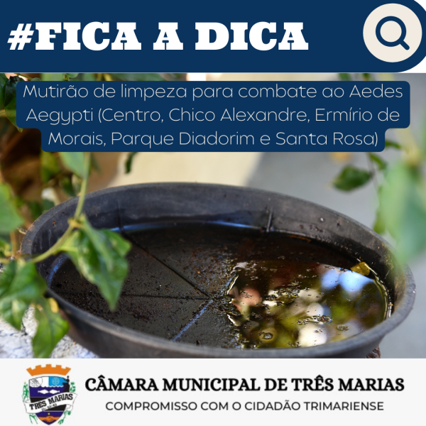 #FICA A DICA: Mutirão de limpeza para combate ao Aedes Aegypti