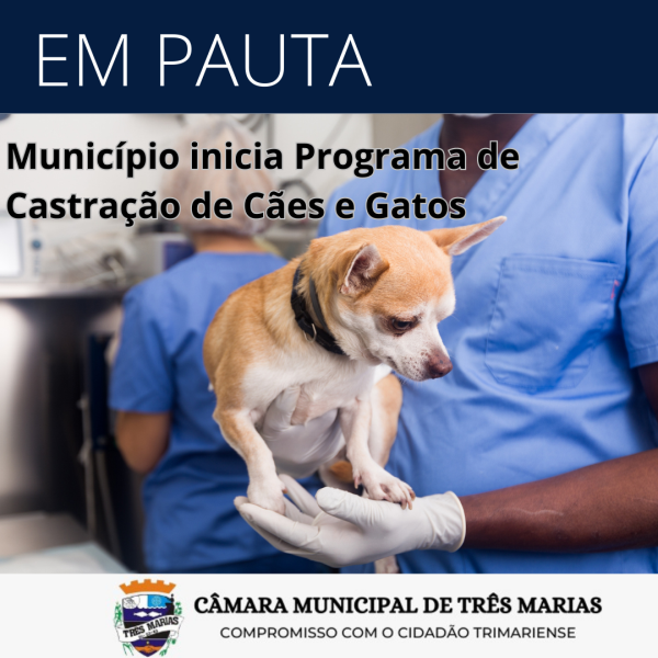 EM PAUTA: Programa de Castração de Cães e Gatos