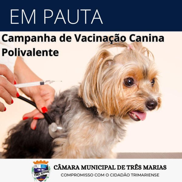 EM PAUTA: Campanha de Vacinação Canina Polivalente