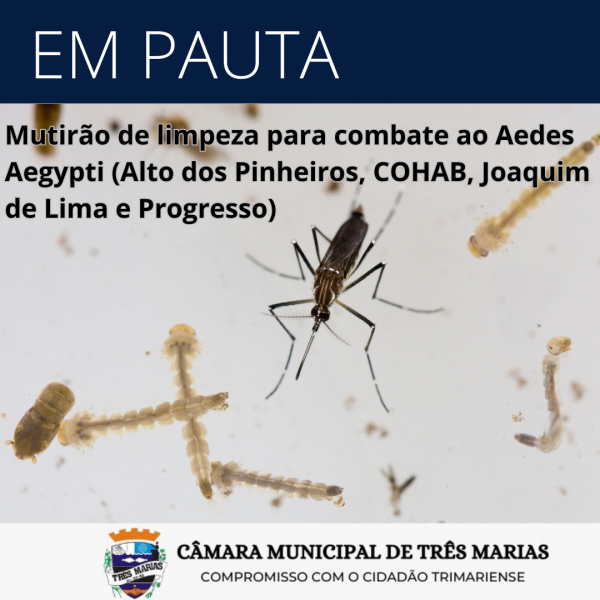 EM PAUTA: Mutirão de limpeza para combate ao Aedes Aegypti