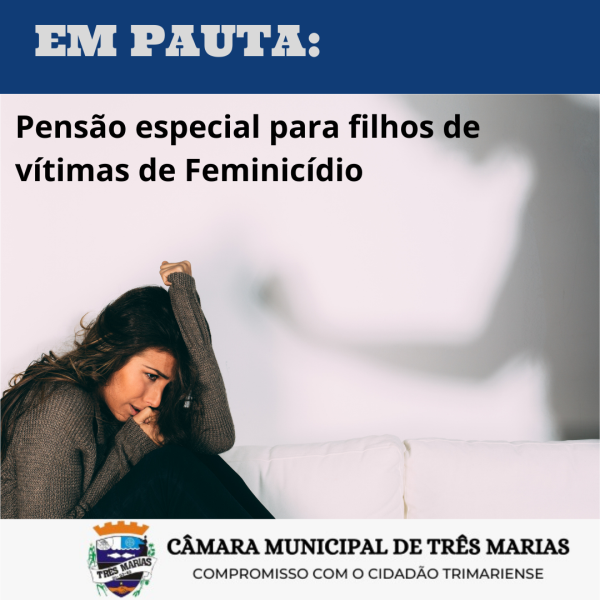 EM PAUTA: Pensão especial para filhos de vítimas de Feminicídio