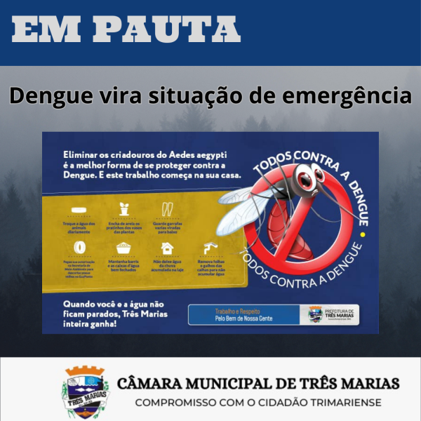 EM PAUTA: Dengue vira situação de emergência 