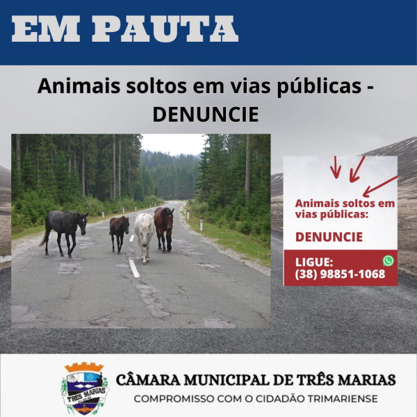 EM PAUTA: Animais soltos em vias públicas – DENUNCIE 