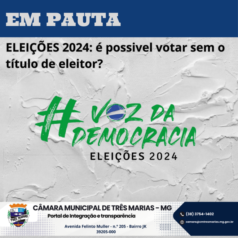 EM PAUTA: Eleições 2024 - É possível votar sem o título de eleitor?